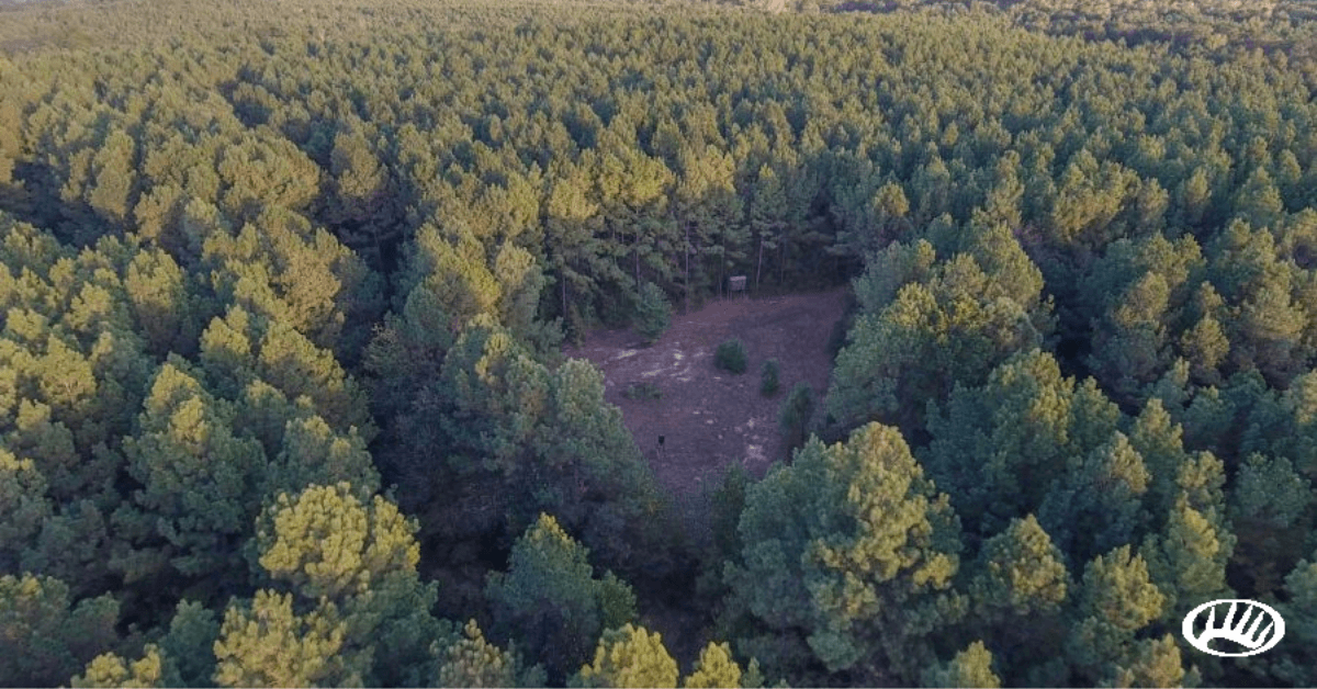 Texas Hunting Land